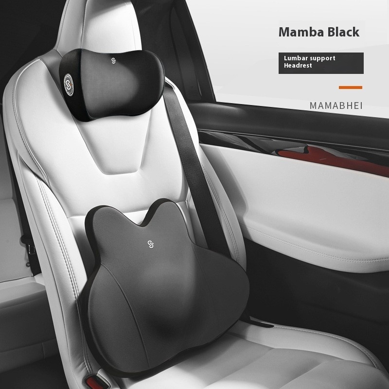 Premium Automotive Memory System